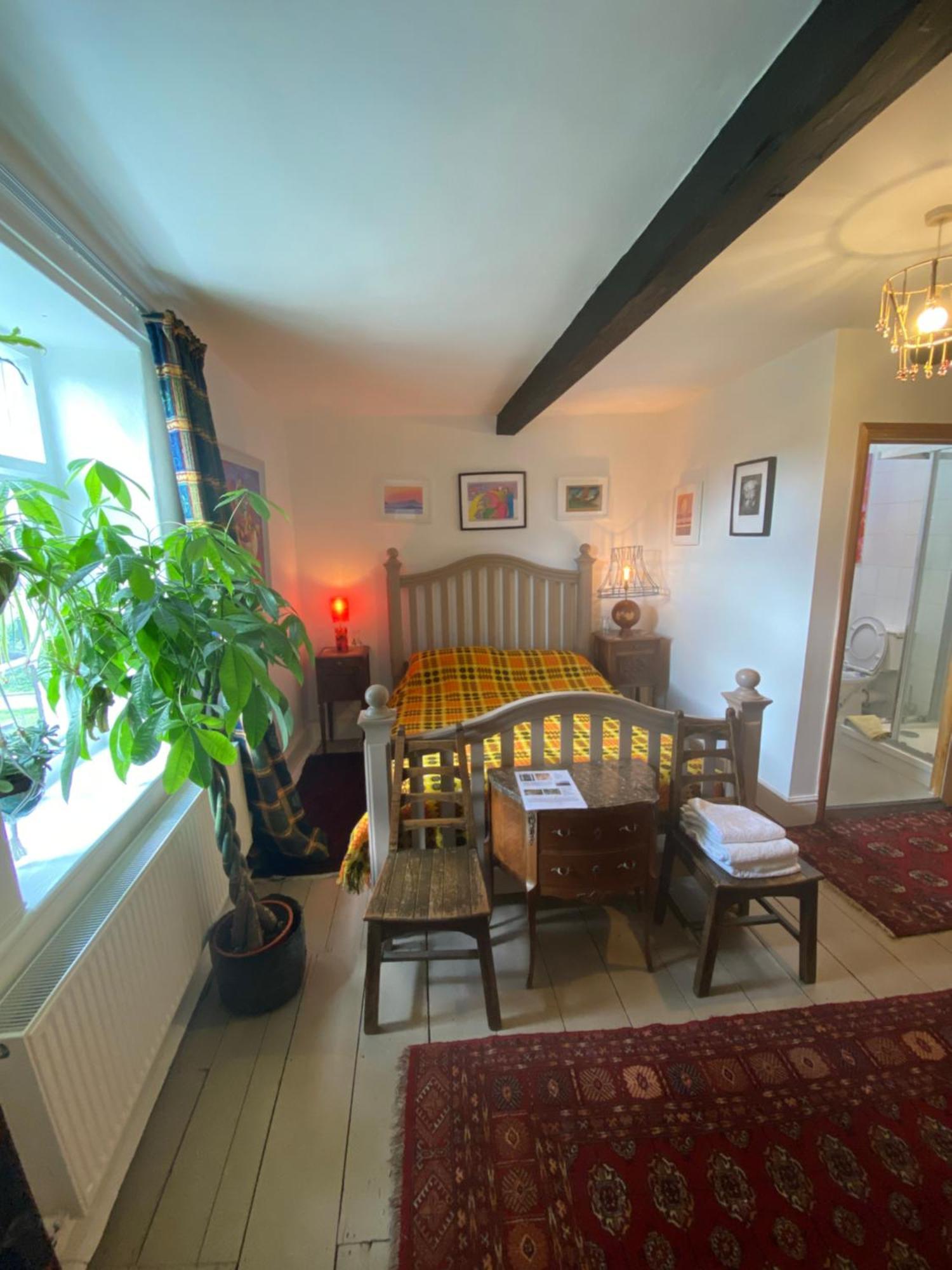 Art House B & B Raglan Quarto foto